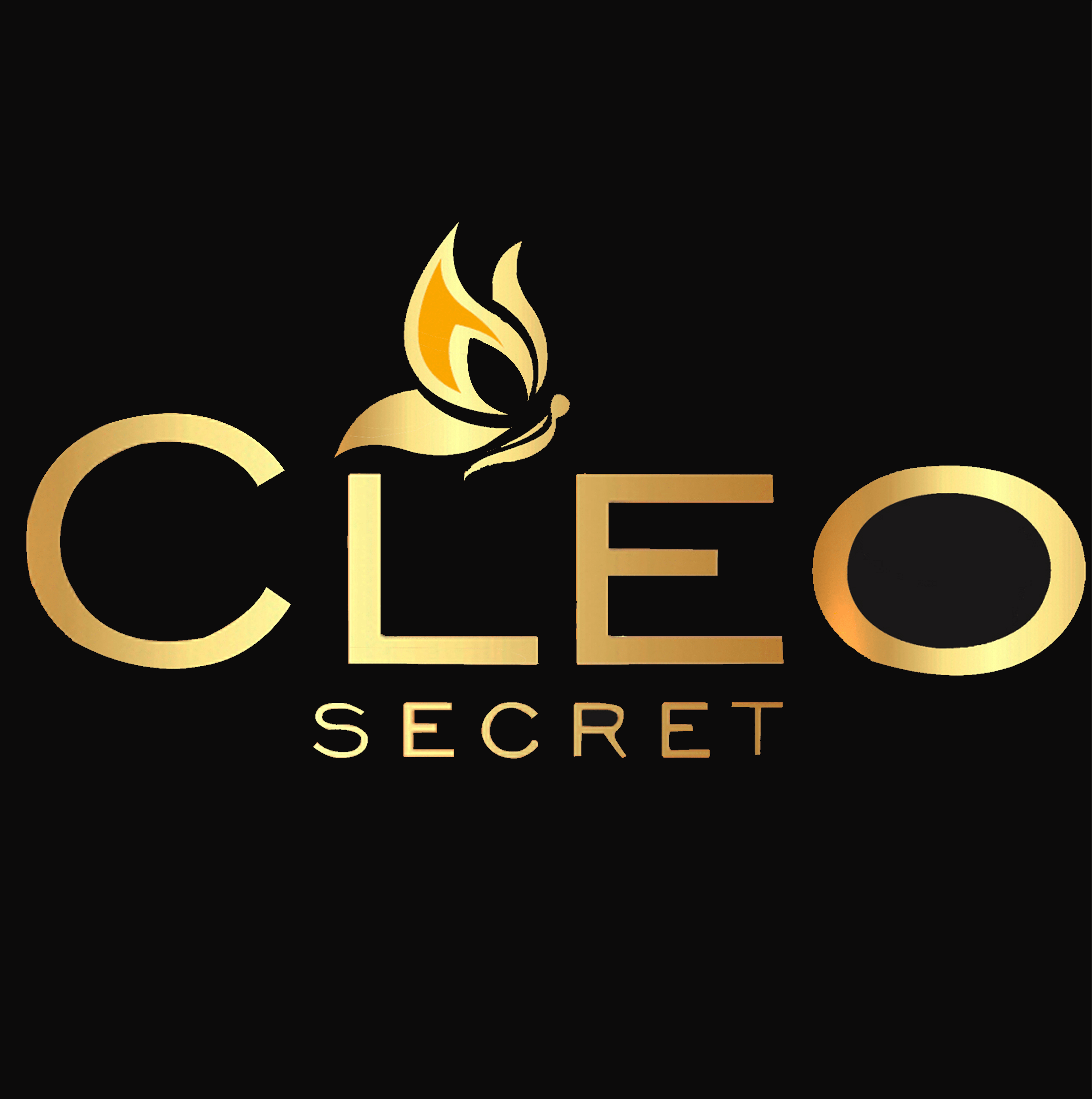 jobs in Cleo Secret Sdn Bhd