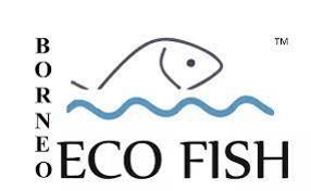 jobs in Borneo Eco Fish Sdn Bhd