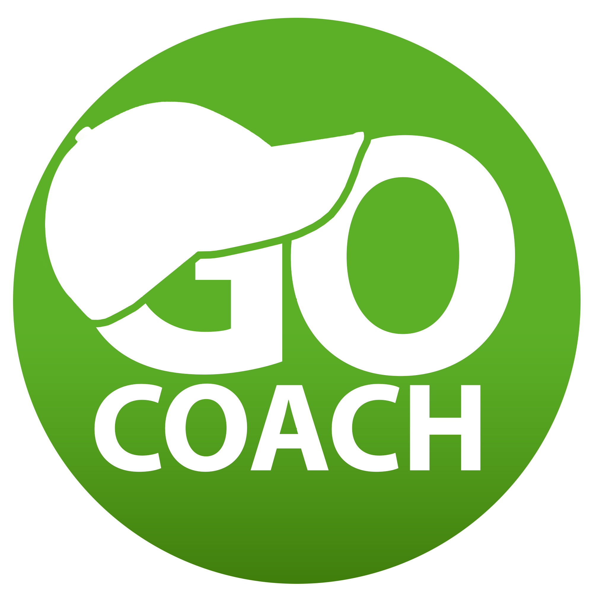 jobs in Go Coach Global Sdn. Bhd.